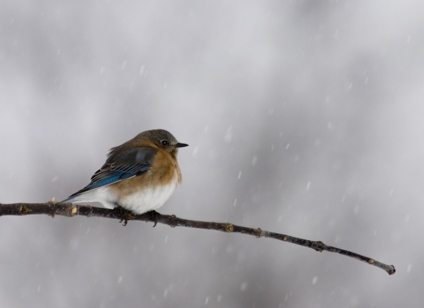 The Gift of Noticing